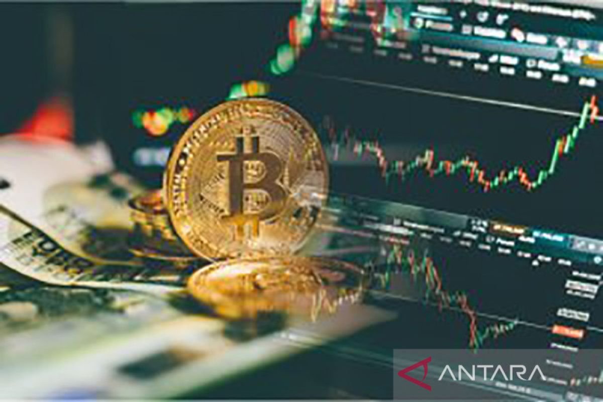 Memahami Serangan 51% (51% Attack) dalam Ekosistem Kripto